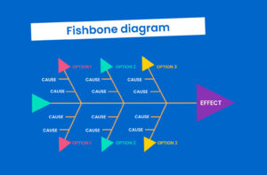 Fishbone diagram.